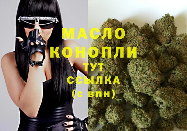молекула духа Нязепетровск