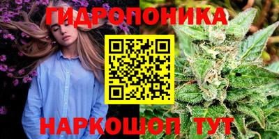 ГАЛЛЮЦИНОГЕННЫЕ ГРИБЫ Балаково