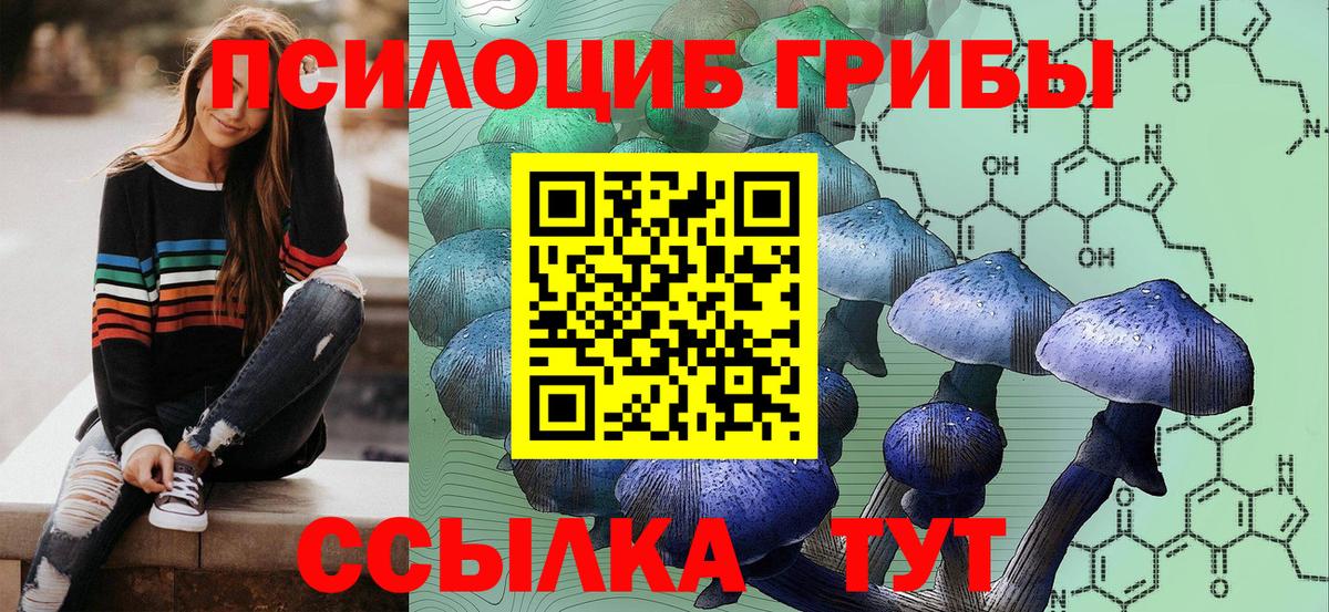 Галлюциногенные грибы MAGIC MUSHROOMS  закладки  Великие Луки  Галлюциногенные грибы мицелий 