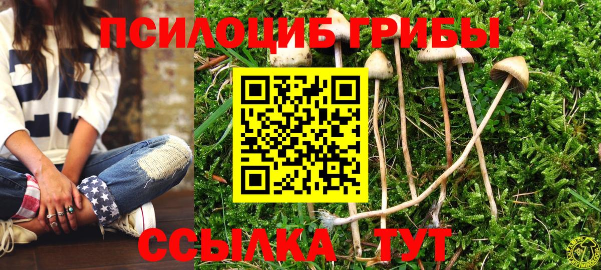Псилоцибиновые грибы прущие грибы Великие Луки