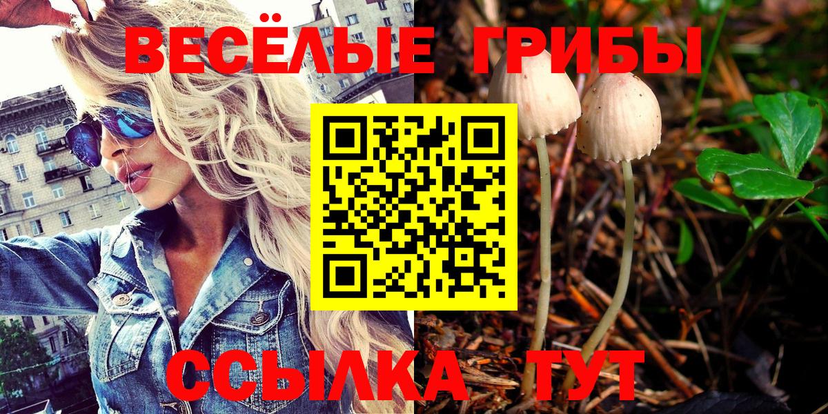 Великие Луки  Псилоцибиновые грибы ЛСД  Вход с VPN  Псилоцибиновые грибы Psilocybine cubensis 
