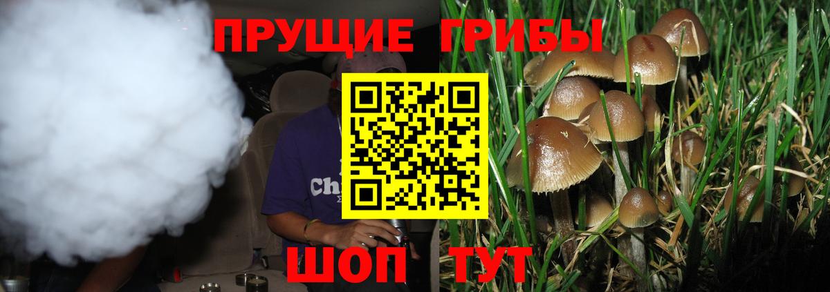 Галлюциногенные грибы прущие грибы Великие Луки