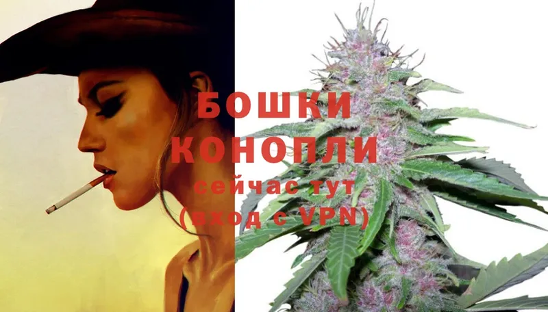 Бошки марихуана LSD WEED  МЕГА ONION  Великие Луки 